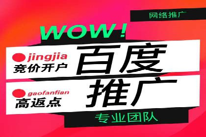 搜索开户返点揭秘：成功案例教你赚钱